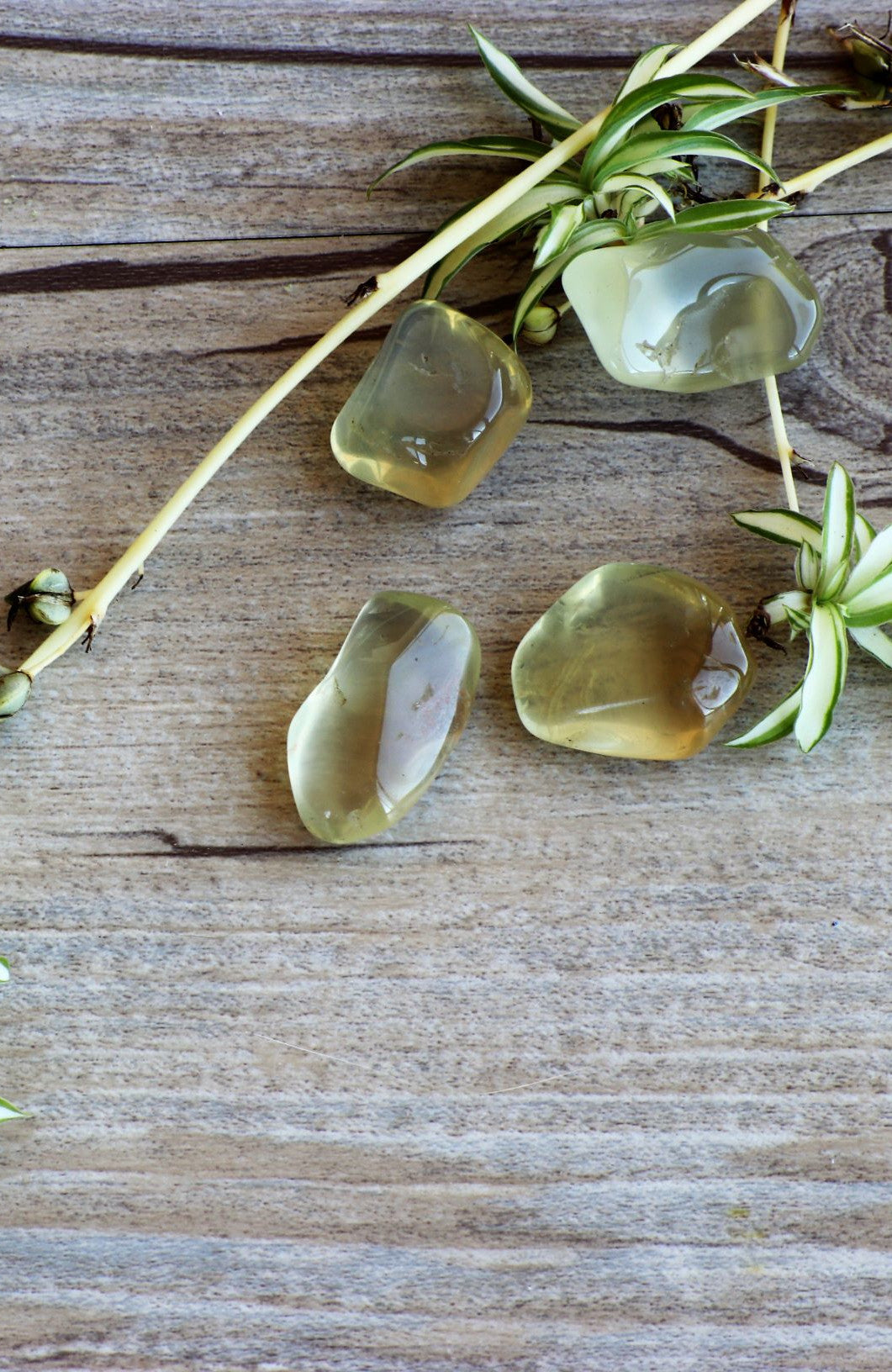 Golden Labradorite Tumbled Stone